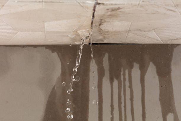Professional Burst Pipe Cleanup technician working in Perrin, TX